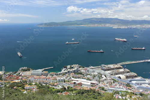 Views from Gibraltar (Great Britain). Monkeys.