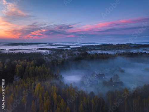 Fog and mist covering the forest in Lithuania © lukjonis