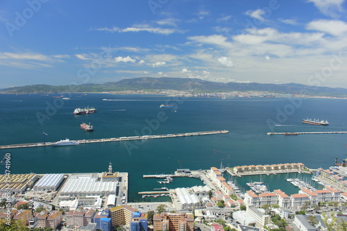 Views from Gibraltar (Great Britain). Monkeys.