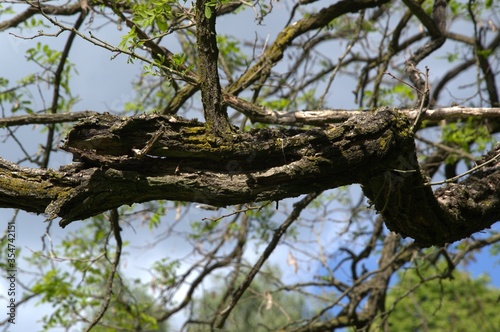 nature_004