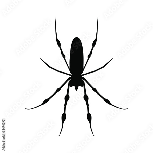 black spider icon- vector illustration. black silhouette spider icon isolated on white background. Element design for Halloween, postcard, app, poster.