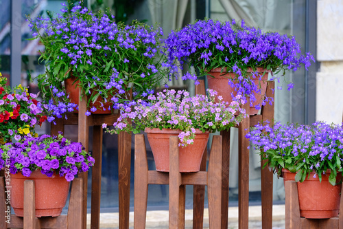 Five Red pots with pretty colorful flowers, outside near the restaurant. Flower decorations are standing on the brackets