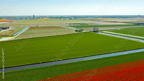 Aerial view of tulip fields in springtime  Holland  the Netherlands
