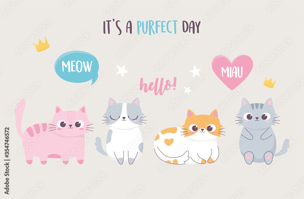 cute kittens with lettering cartoon animal funny character