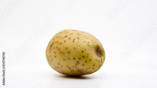 Yukon gold potato spinning with a white background. 