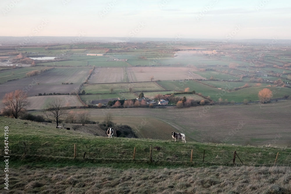 Scenic Landscape View of Farmland Fields Bathed in Evening Sunlight Seen From the Salisbury Plain in Wiltshire England
