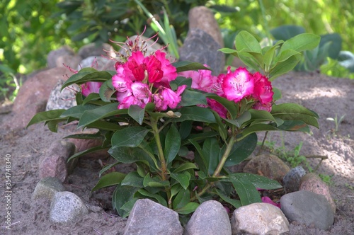 nature_046