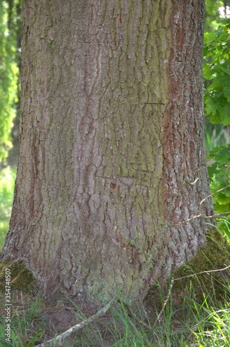 nature_055