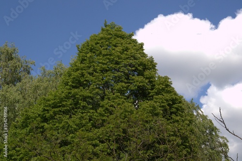 nature_058