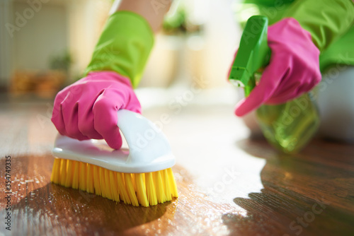Quadro em tela modern woman with cleaning agent and brush clean