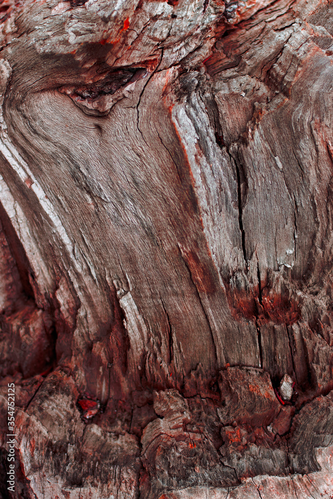 Naklejka premium The texture of a broken tree with saturated red splashes. The vertical photo was made close-up for your design.