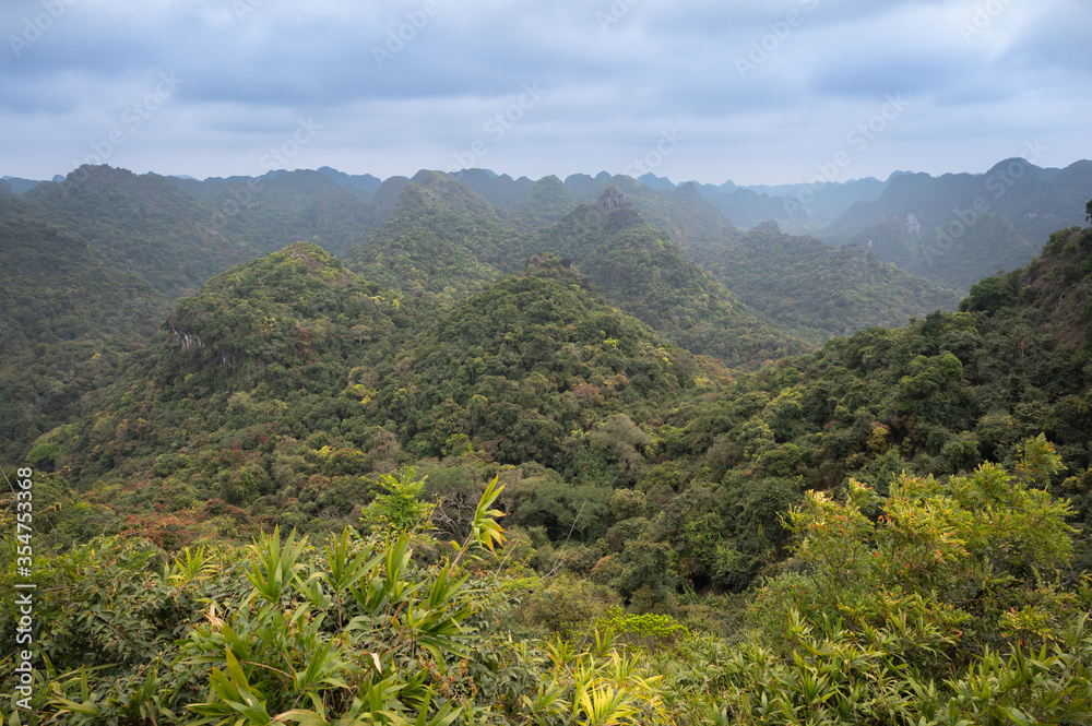 Fototapeta premium Cat Ba National Park
