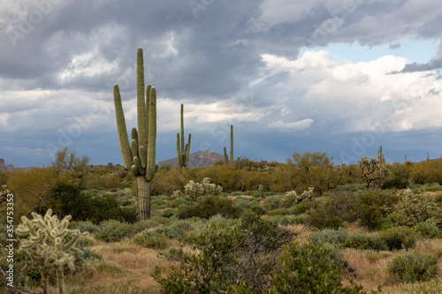 Landscape of mountains and storm clouds in the Arizona desert