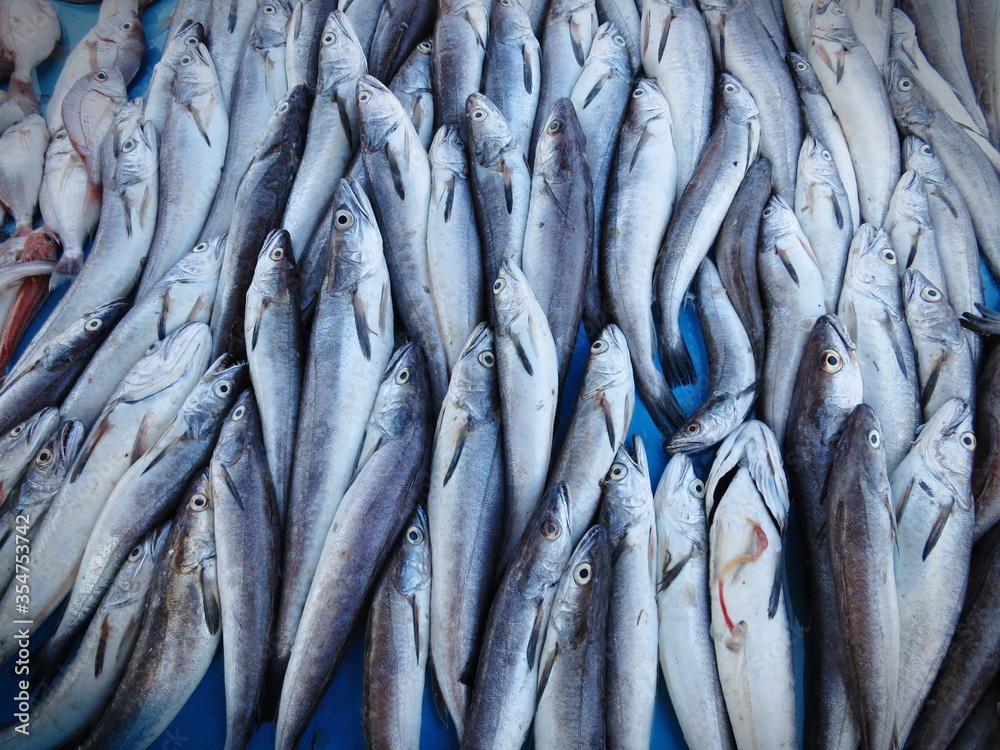 Fototapeta premium Fresh catch of sardine fishes in market