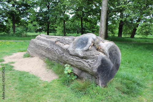 Watford - Cassiobury park
