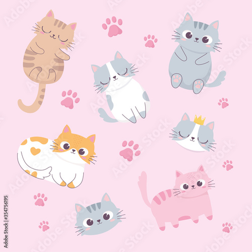 cute cats adorable faces paws cartoon animal funny character background
