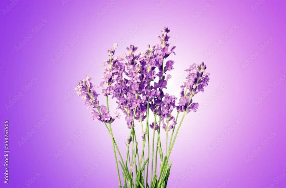 Obraz premium Bouquet.