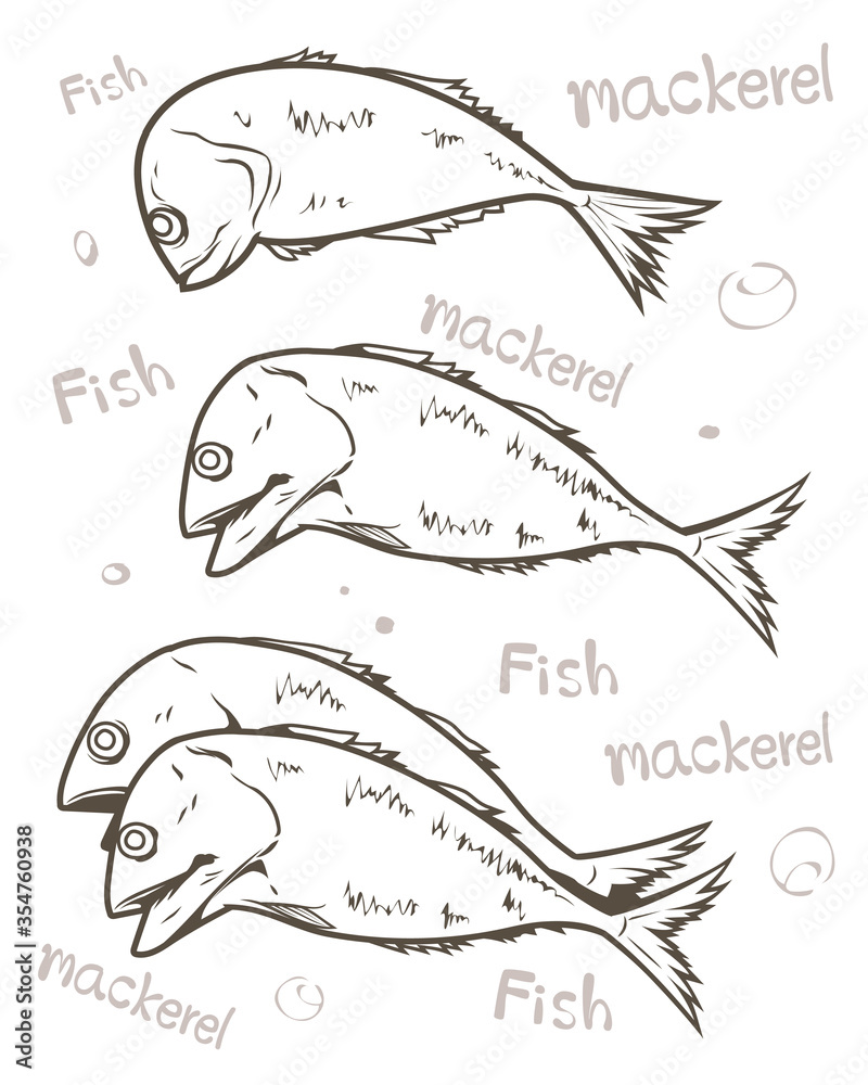 Fototapeta premium Mackerel fish, font and bubble vector line art illustration. Isolated on white background. Coloring page, logo, pattern and more.