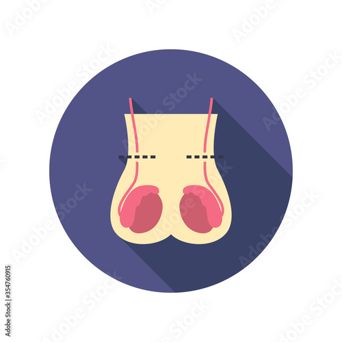 vasectomy flat icon, vector illustration