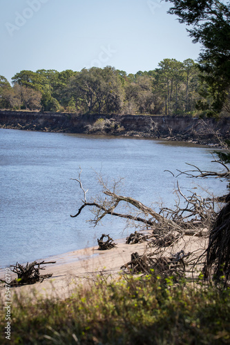 View of the water and the driftwood beach at Crooked River State Park in Georgia © John