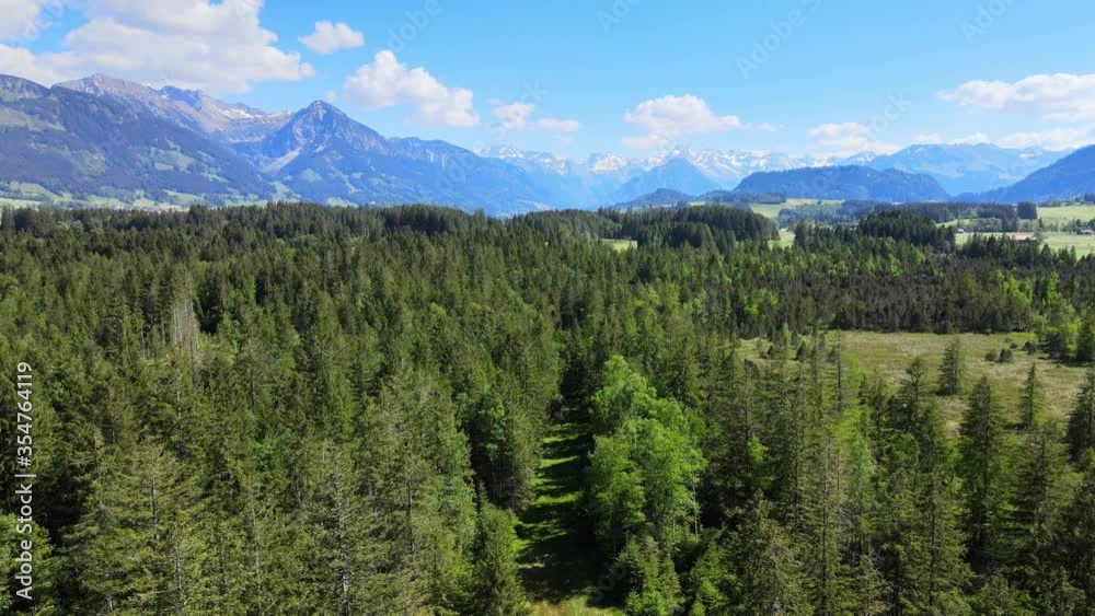 Flying over fir trees in Bavaria - awesome landscape in the German alps. Aerial drone footage Flying over fir trees in Bavaria - awesome landscape in the German alps. Aerial drone footage