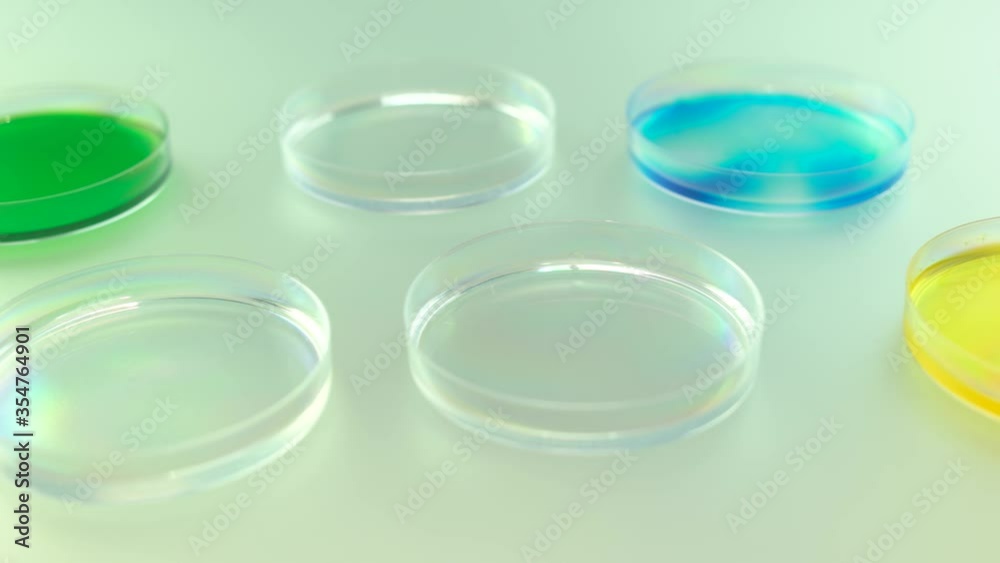 Set of petri dishes with colored liquid. Transparent petri dishes with colorful liquid on table at laboratory.