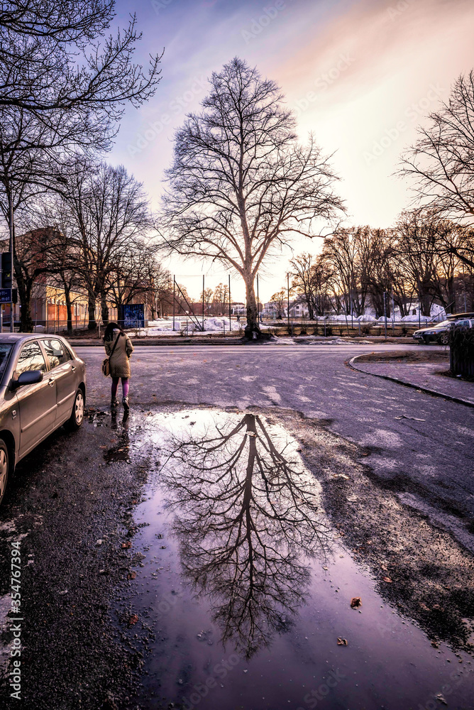 reflection of tree in a puddle reflection of tree in a puddle