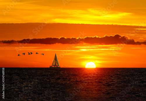 Sailboat Sunset Sailing Birds