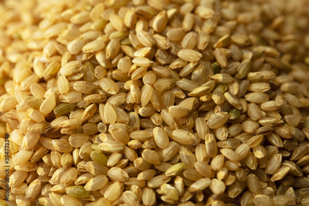 Genmai, or brown rice. The whole grain of rice of Japanese rice, which the germ or outer bran layers have not been removed. Also called unpolished rice. Genmai, or brown rice. The whole grain of rice of Japanese rice, which the germ or outer bran layers have not been removed. Also called unpolished rice.