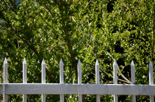 white picket fence in front of colonial house