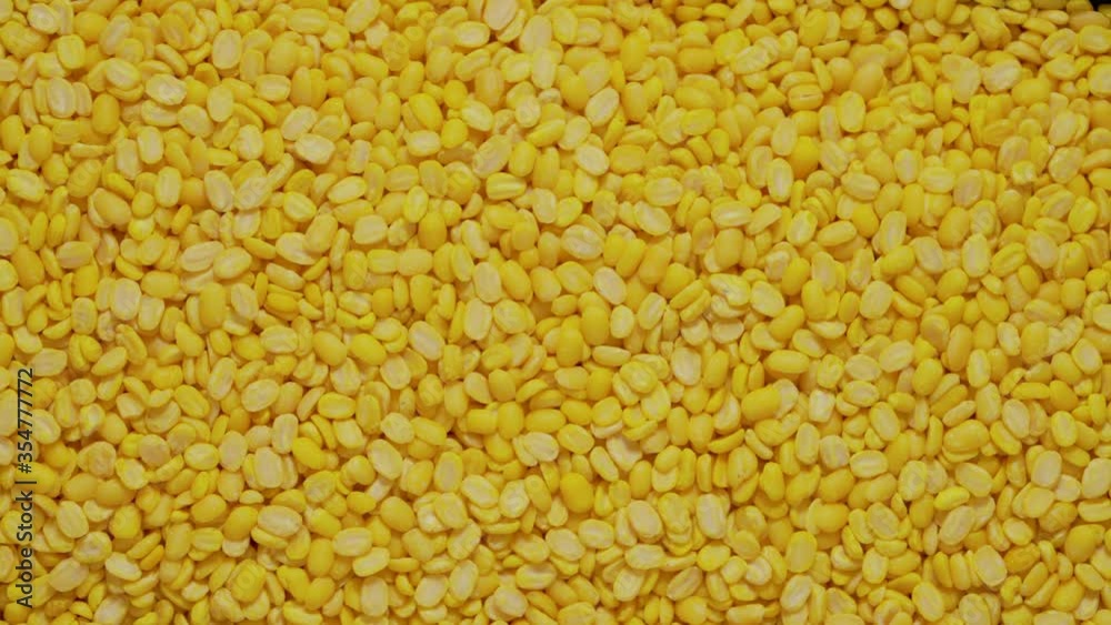 Close up, Pan right over yellow mung beans seed. Beautiful seeds of yellow mung beans background. Close up, Pan right over yellow mung beans seed. Beautiful seeds of yellow mung beans background.