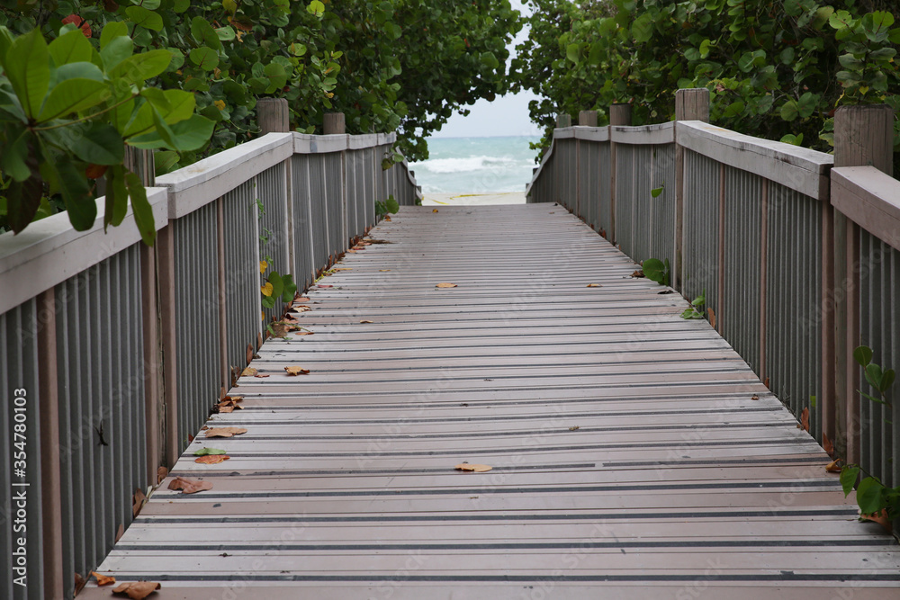 Fototapeta premium wooden bridge in the park and ocean or sea