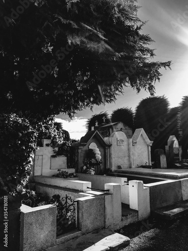 Graves, tombstones, mausoleums and trees at the public Cemetery of Punta Arenas Sara Braun in Chile (in black and white)