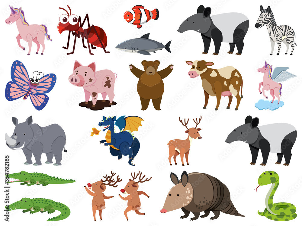 Obraz premium Large set of wild animals on white background