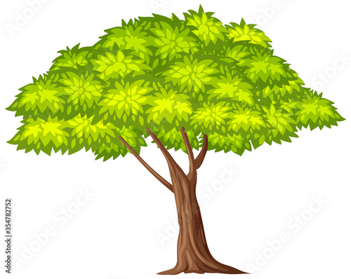 One big tree on white background