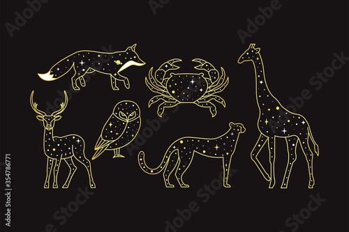 Animals stars constellation on a black background