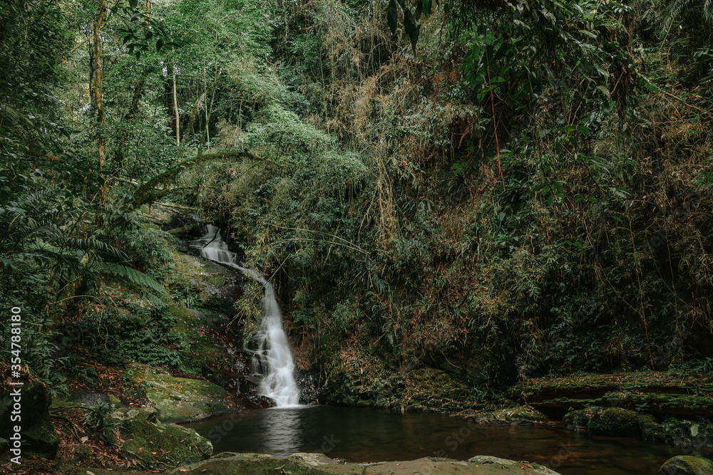 waterfall in the forest