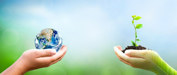 World Environment Day concept: hand holding tree planting and  earth on  green nature background, this image furnished by NASA