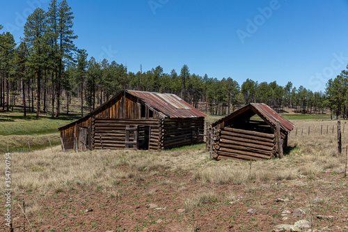 old wooden barn in the forest