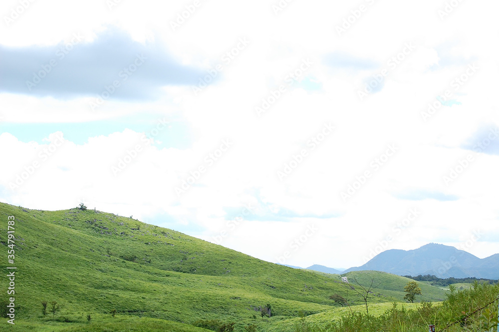 夏の秋吉台 夏の秋吉台