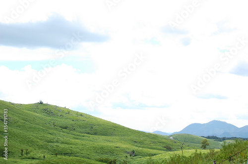 夏の秋吉台