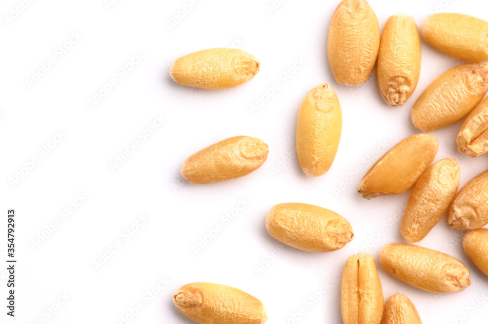 Seed of Wheat grain on white Seed of Wheat grain on white