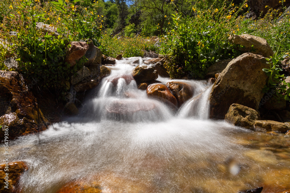 flowing Waterfall in a creek