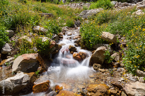 Fototapeta Naklejka Na Ścianę i Meble -  flowing Waterfall in a creek