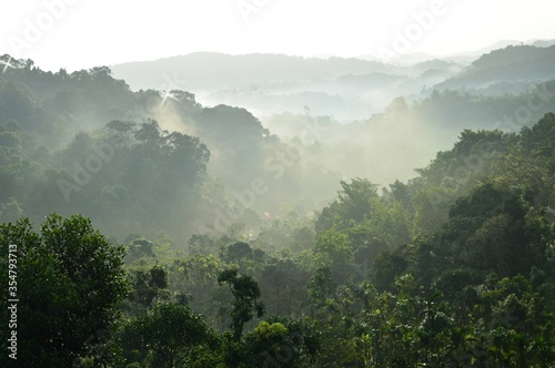 misty morning in the mountains © areeb