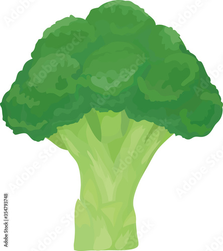 Illustration of broccoli on a white background.