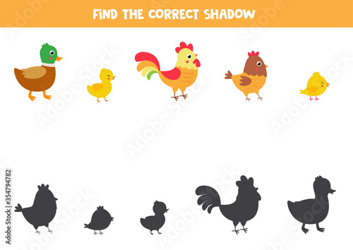 Find right shadow of cute cartoon farm birds.