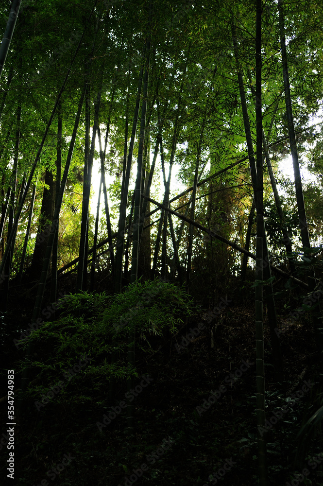 Naklejka premium 田野町風景