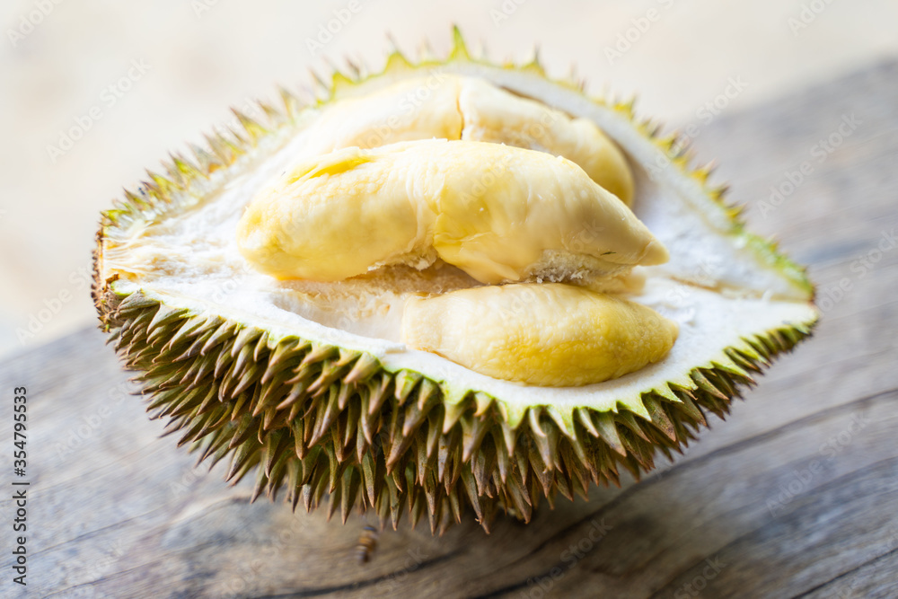 Fototapeta premium riped durian ready to eat fresh from garden