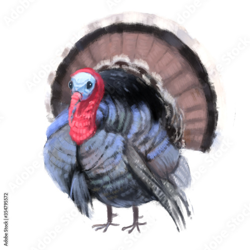 Illustration of a funny turkey on a white background
